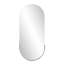 Dante Oval Stainless Steel Beveled Mirror-43046306