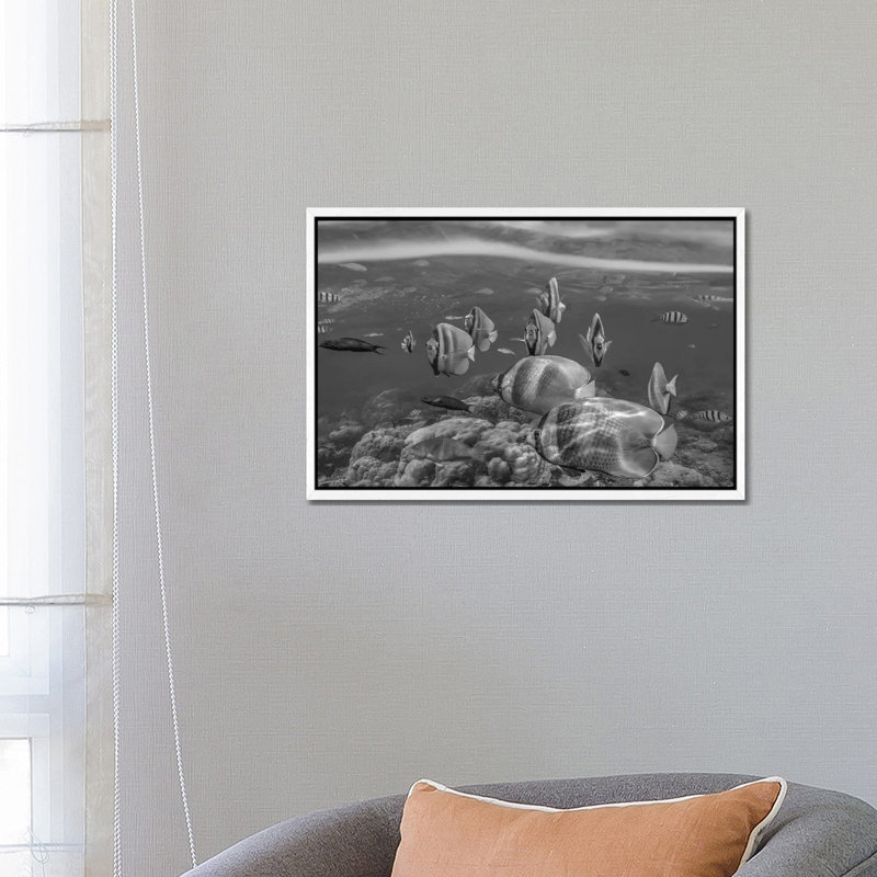 Butterflyfish School, Oriental, Philippines by Tim Fitzharris - Gallery-Wrapped Canvas Giclée on Canvas, White Floater Framed