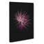 Pink And Purple Fireworks In Abstract - Wrapped Canvas-55341365