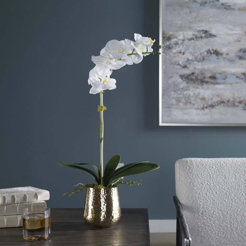 Centre de table Cami Orchid