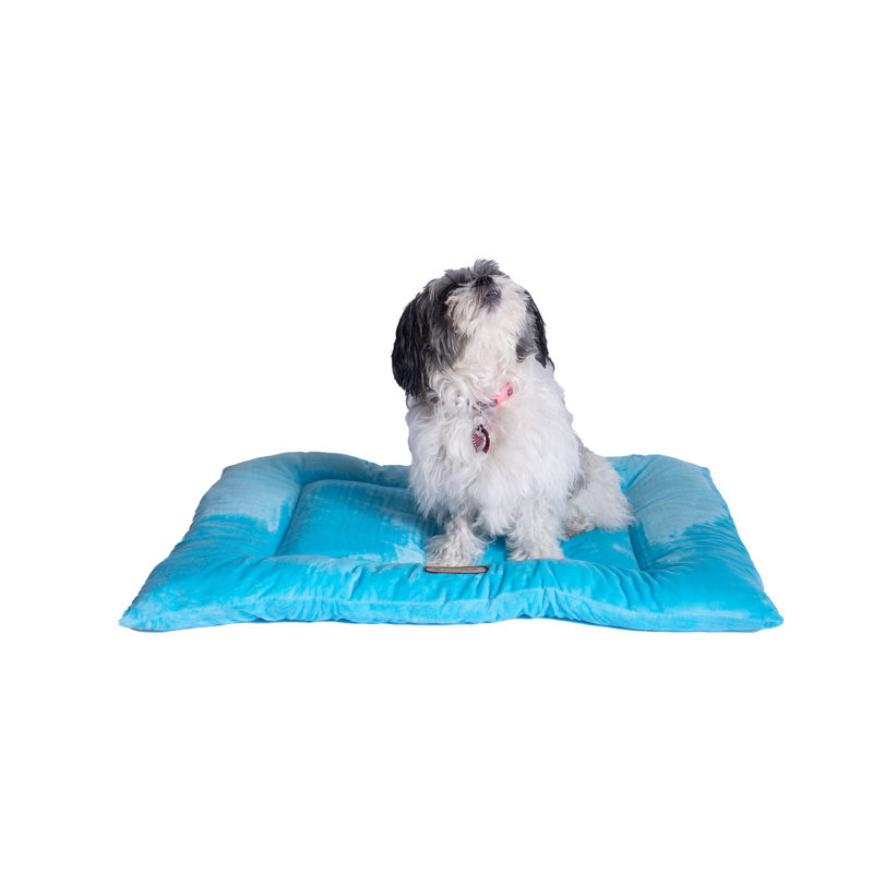 Large Sky Blue Velvet Pet Bed Mat with Padded Border