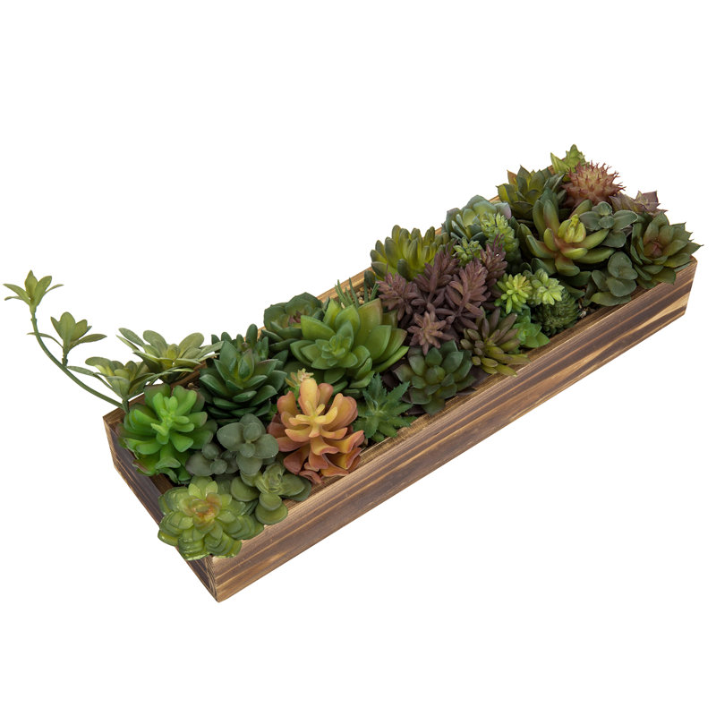 5'' Faux Succulent in Solid Wood Planter