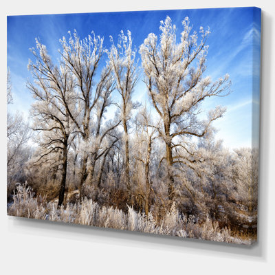 Beautiful Winter Evening View - Reproduction de photo sur toile tendue