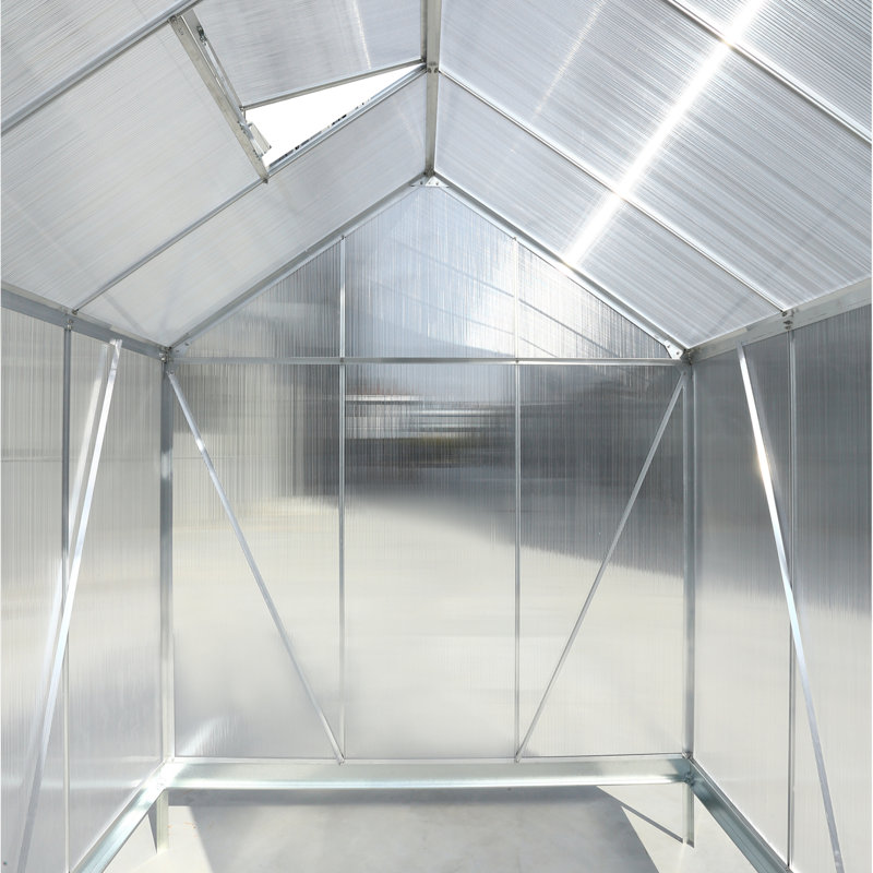 Serre en polycarbonate, H 96,8 po x l 75,2 po x P 75,2 po, Argent argent