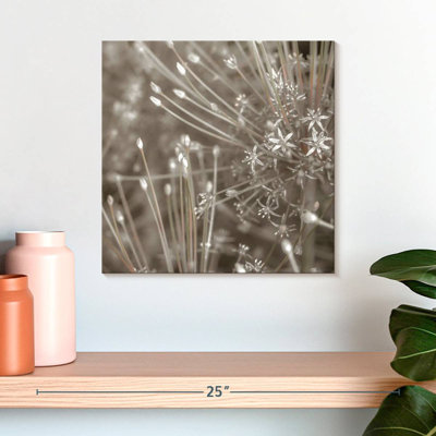 Harnek argent alliums