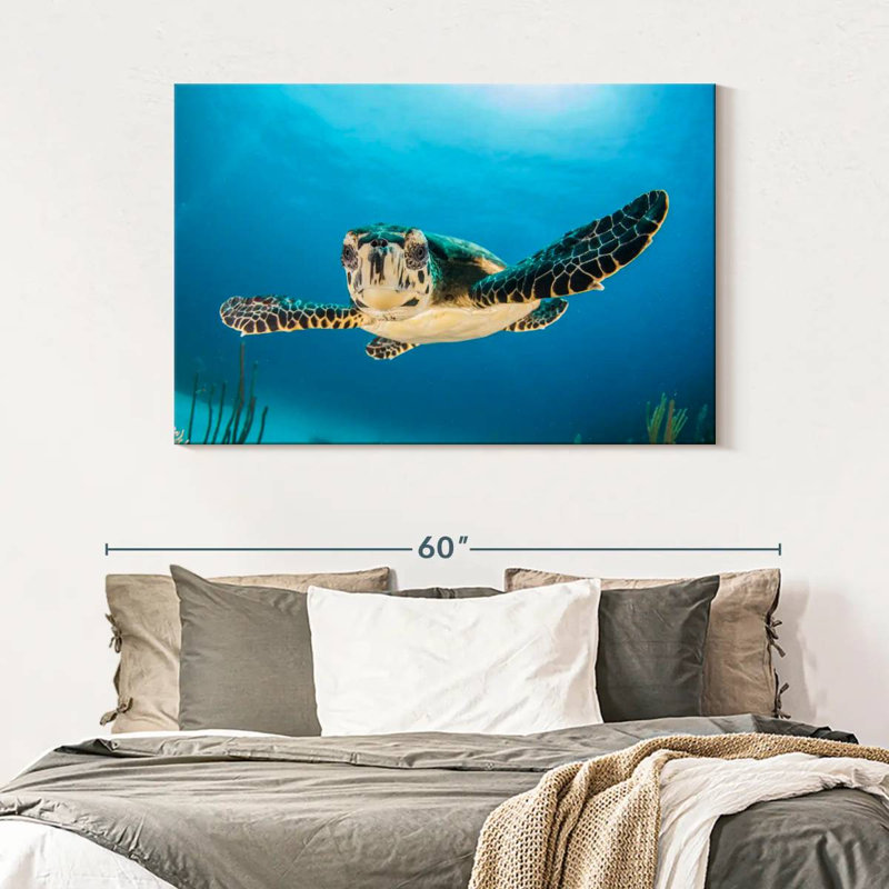 Brampt Underwater Baby Turtle, 32" H x 48" W
