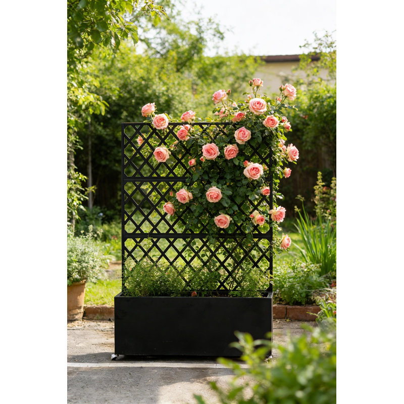 Galvanized Steel Raised Garden Bed, With Trellis & Privacy Screen, 70.87" H x 46.06" W x 15.75" D