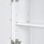 Armoire de rangement murale avec miroir-1058548500