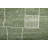 Sadowski Modern Abstract Green Area Rug-629771801