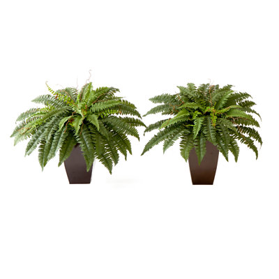 Trejo 21 " H Faux Fern Plant