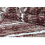 Hadreas Tartan Area Rug-1561993102