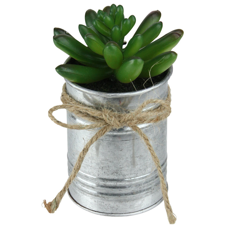 Pot à fleurs succulent artificiel en pot 5 po Pachyveria