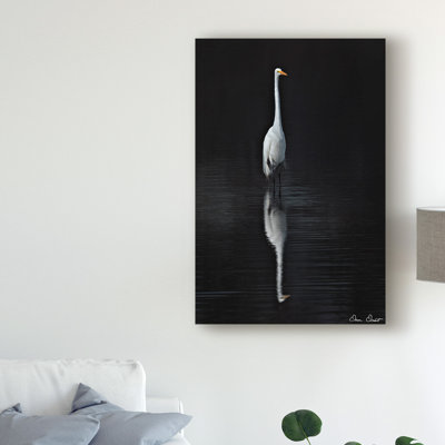 Modern & Contemporary
