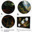 Green Tunnel Enchanted Forest Earthy II, reproduction d'art sur toile-618753699-618753702