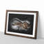 Alligator Watchful Eye - Picture Frame Graphic Art Print-56875921-56875922