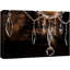 Lustre en cristal sur fond brun foncé-93589283-93589280