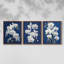 Floral Study Series LVI -Set de 3 estampes numériques giclées -Prêt à accrocher-107253420-107253423