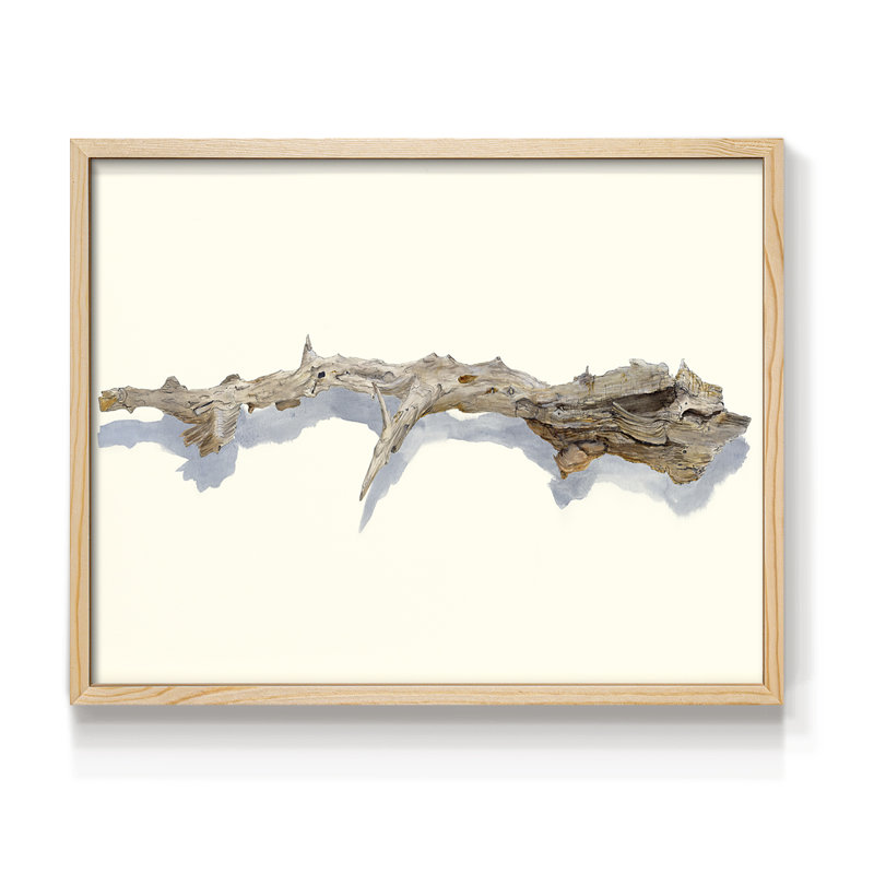 «Driftwood Study I», reproduction encadrée, H 8 po x l 10 po, Naturel