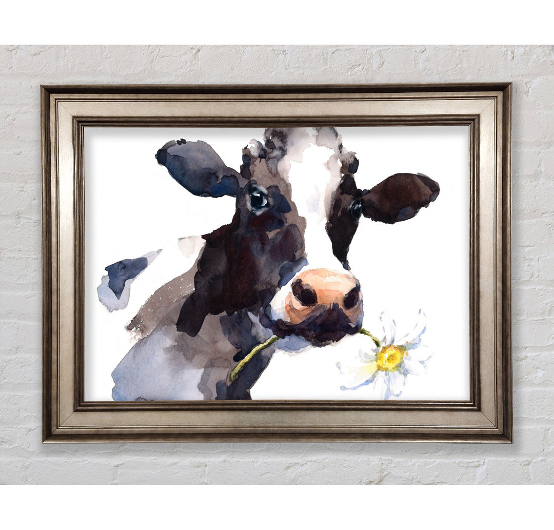 Daisy The Cow - Einzelner Bilderrahmen Kunstdrucke