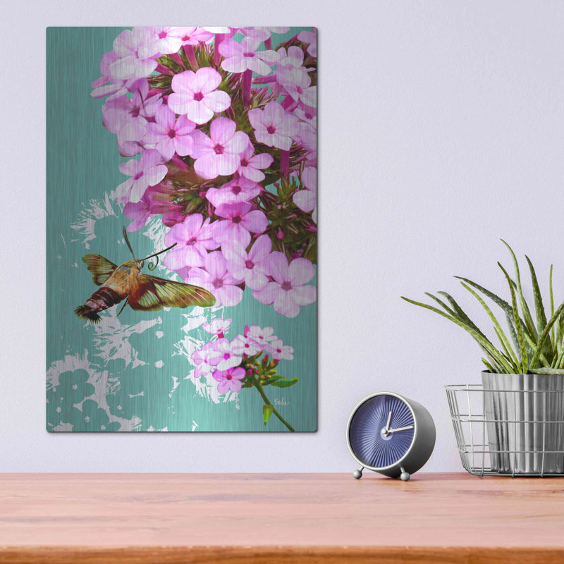 " Clearwing On Flox " by Evelia Designs, 16" H x 12" W