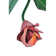 Tulip 1 - Light Wallchiere