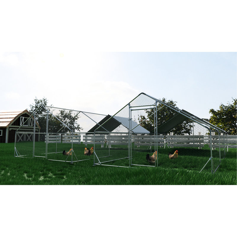 Grand poulailler en métal - cage de poulet avec et porte de 19,5 pi x 9,7 pi x 6,4 pi