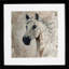 Follow Your Dreams Print by Marti Leroux