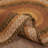 Kettle Grove Geometric Indoor Rug-954956780