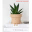 Cute Pots Pot Planter