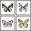 Fly Like A Butterfly by Marmont Hill - 4 Piece Single Picture Frame Painting Set-919708539