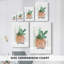 Boho Succulent - Gala enveloppé de cavas-108843628