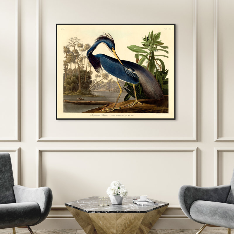 Louisiane héron - Impression sur toile, H 17 po x l 20 po, Toile encadrée, Noir