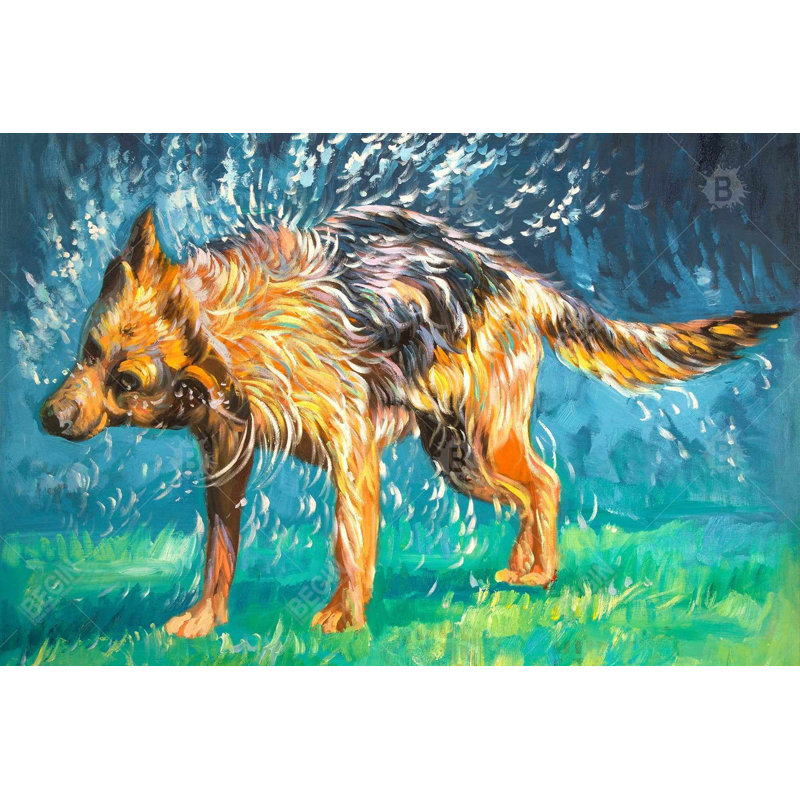 Art sur toile, "Spin-Dry Wet German Shepherd", H 36 po x l 24 po