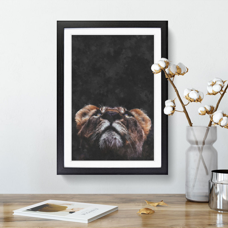 Lion Looking Upwards - Framed Print, 87cm H x 62cm W x 2cm D, Black Framed