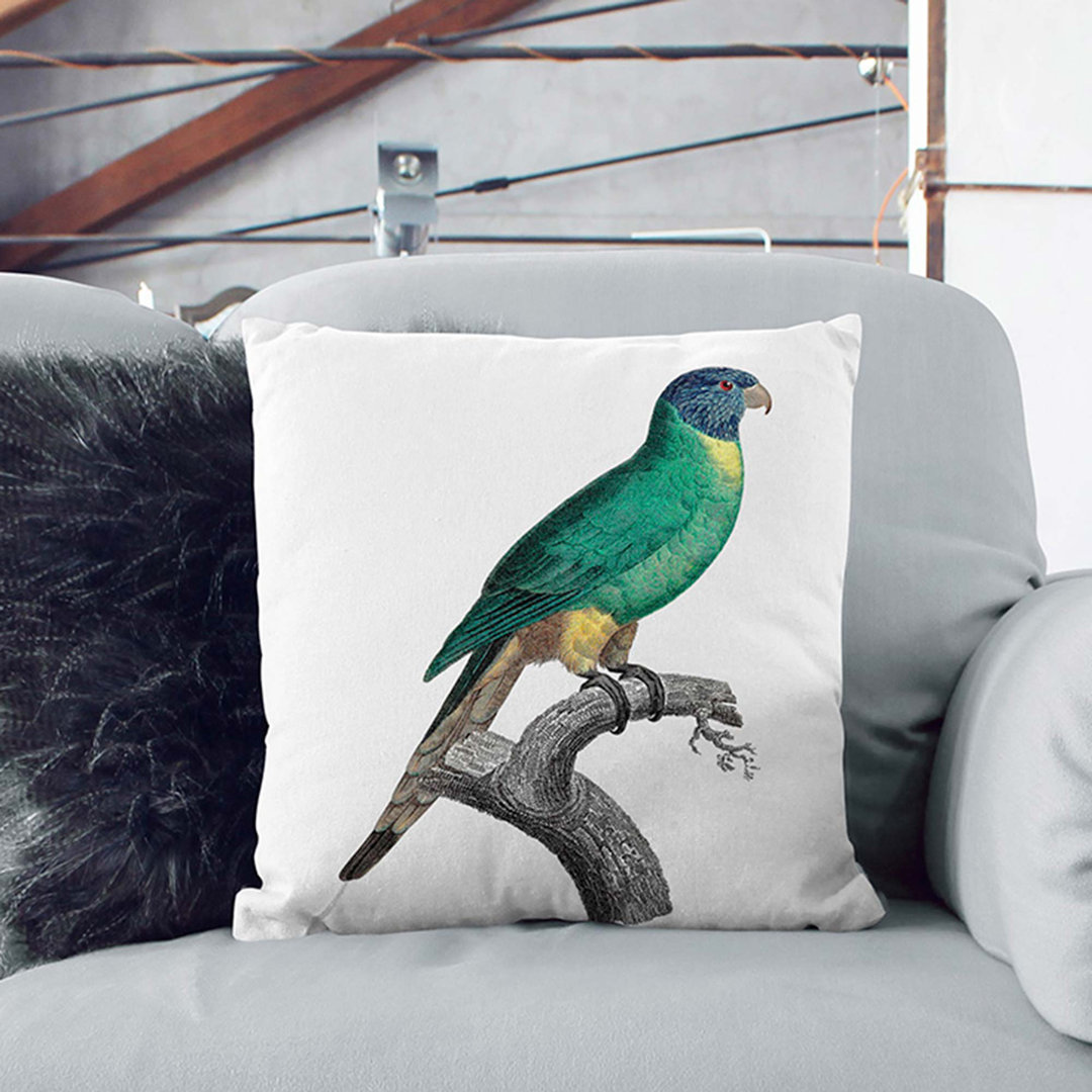 Blue-Crowned Parakeet by F. Levaillant Cushion with Filling
