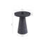 Selenia End Table