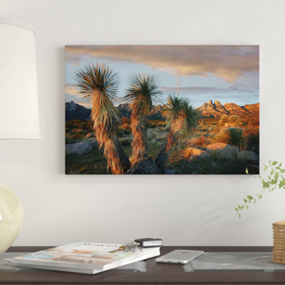 " Yucca And Organ Mountains Near Las Cruces, New Mexico " by Tim Fitzharris