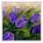 Toile avec cadre flottant blanc