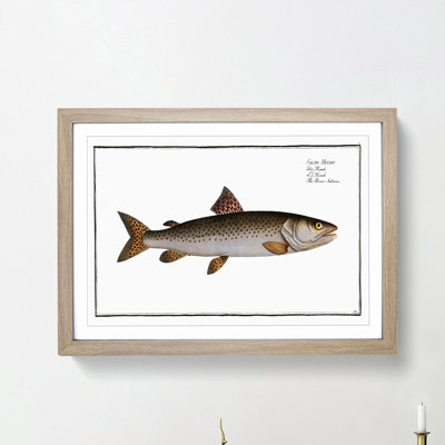 River-Salmon Fish by M.E. Bloch - Picture Frame Painting Print
