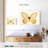 Butterfly Memento-107959696
