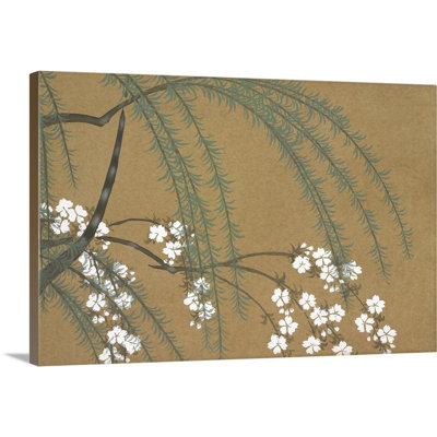 "Yanagi Sakura" par Kamisaka sekka-impression d’art graphique sur toile