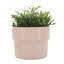 Mushroom Style Planter for Indoor and Outdoor Home Decor - Flower Pots for Living Room Decor or Patio - Set of 3, 9", 7" 6", Pink-2092625232