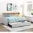 1Pc Light Gray Daybed With Pull-Out Trundle Bookcase Side Panel Charging Ports Nailhead Trim Modern Design Furniture