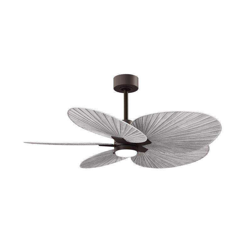 Alessandra - Ventilateur de plafond à cinq pales - DEL intégrée, Bronze texturé, Ton bois de grange