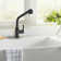 MODLAND Pull Out Kitchen Faucet