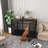 Chamiya Furniture Style Crate with 3 Doors-782229915-751082459