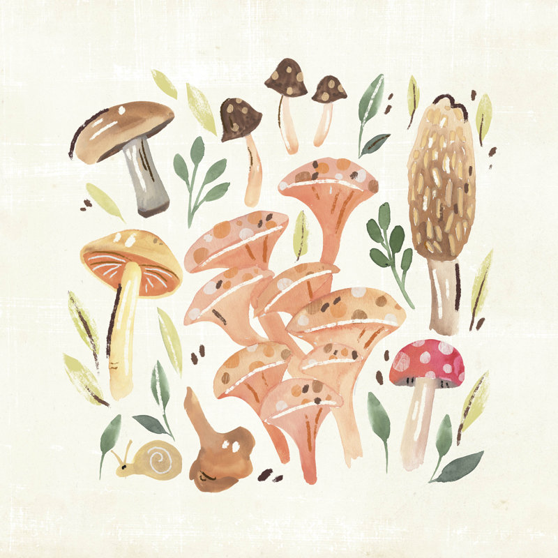Champignon Field Trip IV, H 12 po x l 12 po