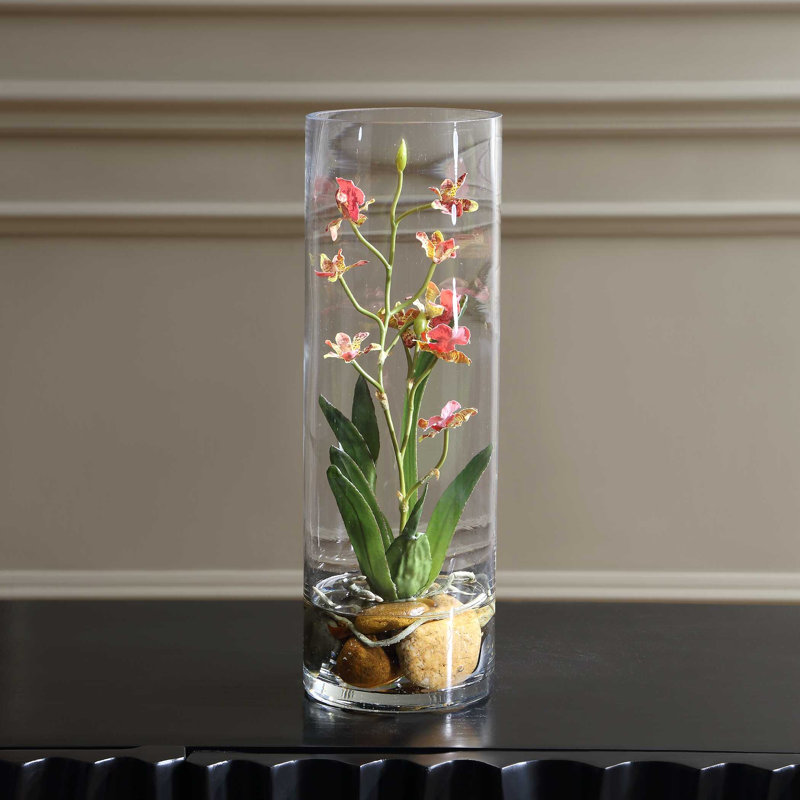 Orchidée rose Mariposa