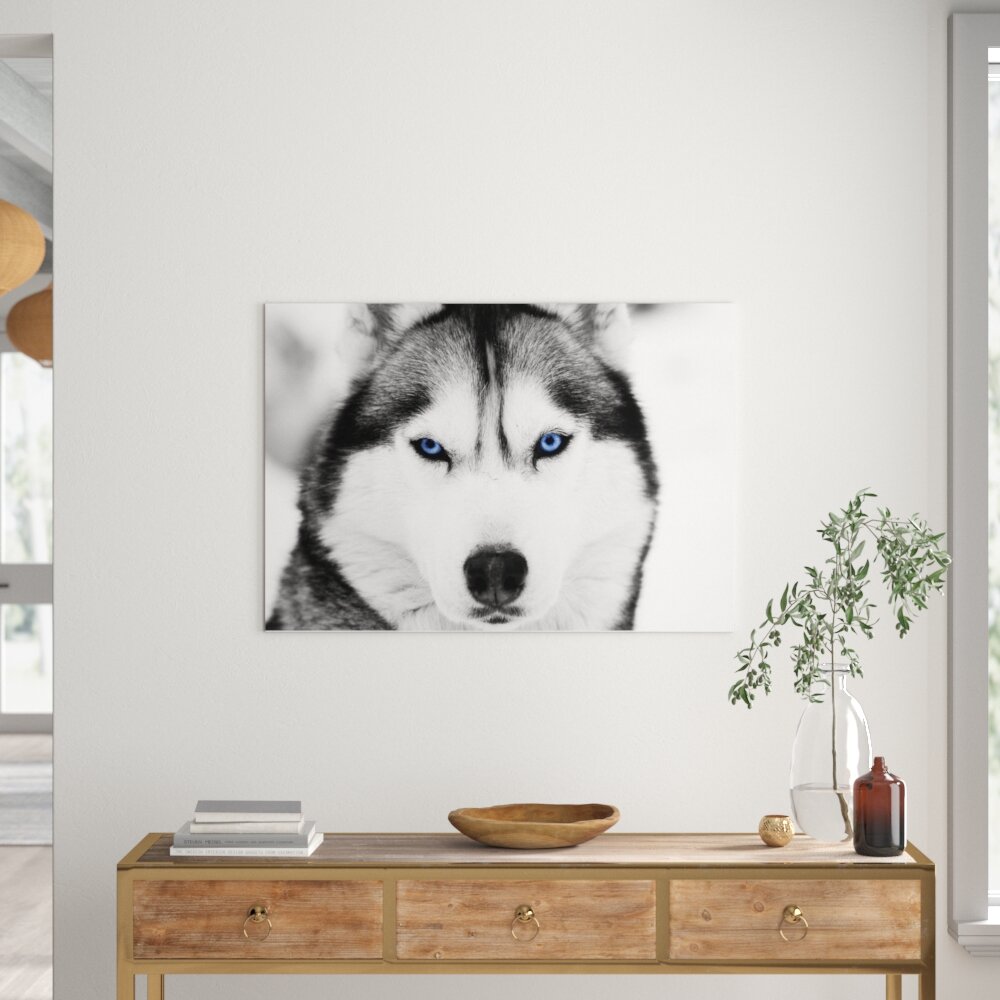 Leinwandbild Husky mit blauen Augen