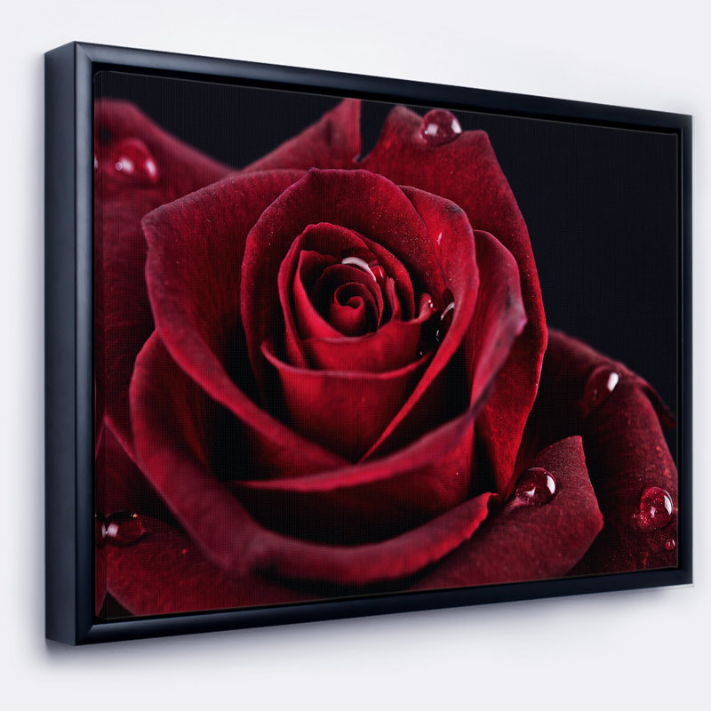«Red Rose with Raindrops on Black», reproduction d'impression sur toile tendue, H 12 po x l 20 po x P 1 po